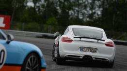 Porsche On Track. Nie kupuj kota w worku