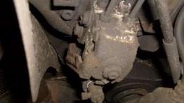 Opis techniczny Renault Thalia