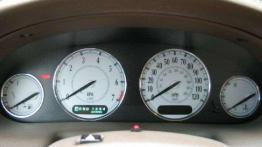 Europejski Amerykanin