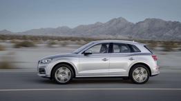 Audi Q5 (2017)