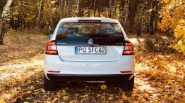 Skoda Rapid Spaceback 1.0 TSI 95 KM - galeria redakcyjna - widok z tyłu