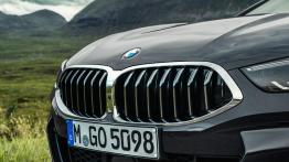 BMW seria 8 Cabrio - grill