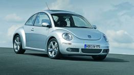 Volkswagen New Beetle - widok z przodu