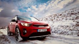 Kia Stonic 1.4 DOHC 100 KM - galeria redakcyjna - widok z przodu