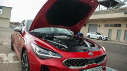 Kia Stinger – galeria redakcyjna