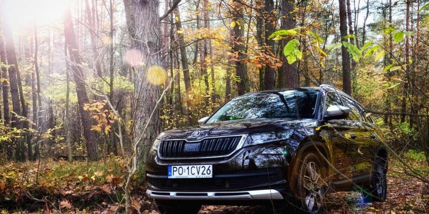 Skoda Kodiaq Scout (2017) - galeria redakcyjna