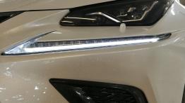 Lexus NX 300 - galeria redakcyjna (1)