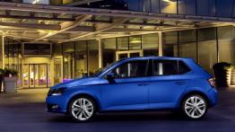 Skoda Fabia III hatchback (2015) - lewy bok