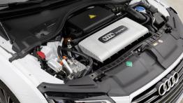 Audi A7 Sportback h-tron quattro Concept (2014) - maska otwarta
