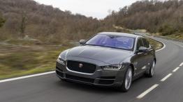 Jaguar XE 2.0d Ammonite Grey (2015) - widok z przodu