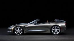 Chevrolet Corvette C7 Stingray Cabrio (2014) - lewy bok