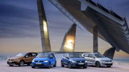 Volkswagen Polo V BlueMotion Facelifting (2014) - widok z przodu