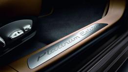 Porsche Panamera Platinum Edition - listwa progowa