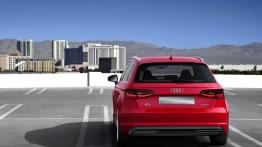 Audi A3 III Sportback e-tron (2013) - widok z tyłu