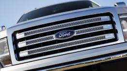 Ford F-150 - model 2013 - grill