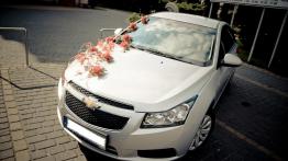 Chevrolet Cruze - galeria społeczności - widok z góry