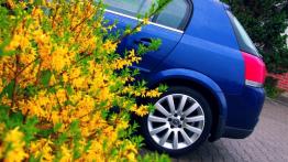 Opel Signum  Hatchback - galeria społeczności - lewy bok
