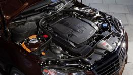 Mercedes E 400 HYBRID - maska otwarta