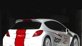 Peugeot 207 RCup Concept - widok z tyłu