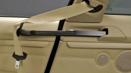 BMW Seria 3 E92 Coupe - inny element wnętrza z tyłu