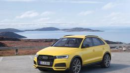 Popularny SUV Audi po liftingu