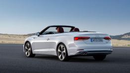 Audi A5/S5 Cabrio w pełnej krasie