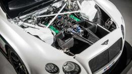 Bentley Continental GT3 debiutuje na Goodwood