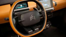 Citroen C4 Cactus zachowa cechy szczególne?