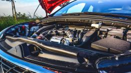 DS 4 Crossback - poza schematami