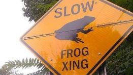 Polskie drogi - aleje znaków drogowych...