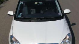 Skoda Fabia Greenline - Oszczędzanie wymaga cierpliwości