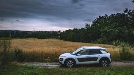 Citroen C4 Cactus Rip Curl - galeria redakcyjna