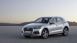 Audi Q5 (2017)