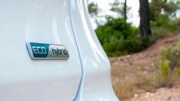 Kia Niro – galeria redakcyjna