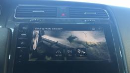 Volkswagen e-Golf - galeria redakcyjna