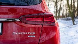 Hyundai Santa Fe 2.0 CRDI 185 KM - galeria redakcyjna - widok z tyłu