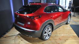 Mazda CX-30 - galeria redakcyjna - widok z ty?u