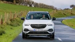 Opel Grandland X Ultimate (2018)  - widok z przodu