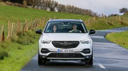 Opel Grandland X Ultimate (2018)  - widok z przodu