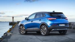 Opel Grandland X (2018) 