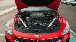 Kia Stinger – galeria redakcyjna