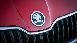 Skoda Fabia III Kombi 1.2 TSI 110KM - galeria redakcyjna - logo