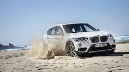 BMW X1 II xDrive20d (2016) - widok z przodu