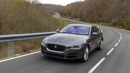 Jaguar XE 2.0d Ammonite Grey (2015) - widok z przodu