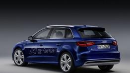 Audi A3 Sportback g-tron (2013) - widok z tyłu