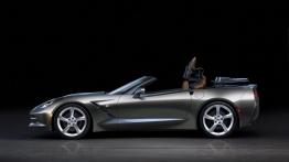 Chevrolet Corvette C7 Stingray Cabrio (2014) - lewy bok
