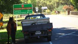 Audi Q5 w Nowej Zelandii - część 3 - galeria redakcyjna - inne zdjęcie