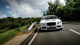 Bentley Continental GT3-R (2014) - widok z przodu