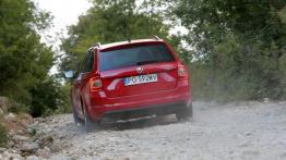 Skoda Octavia III Kombi 4x4 TDI (2013) - widok z tyłu