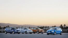 Volkswagen Polo V BlueMotion Facelifting (2014) - prawy bok